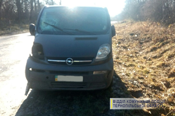 На Тернопільщині водій автомобіля смертельно травмував перехожого (фото) На Тернопільщині водій автомобіля смертельно травмував перехожого (фото)