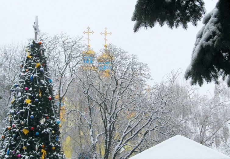 Найдорожчі і найпотворніші: як виглядають новорічні ялинки в різних містах України (фото) Найдорожчі і найпотворніші: як виглядають новорічні ялинки в різних містах України (фото)