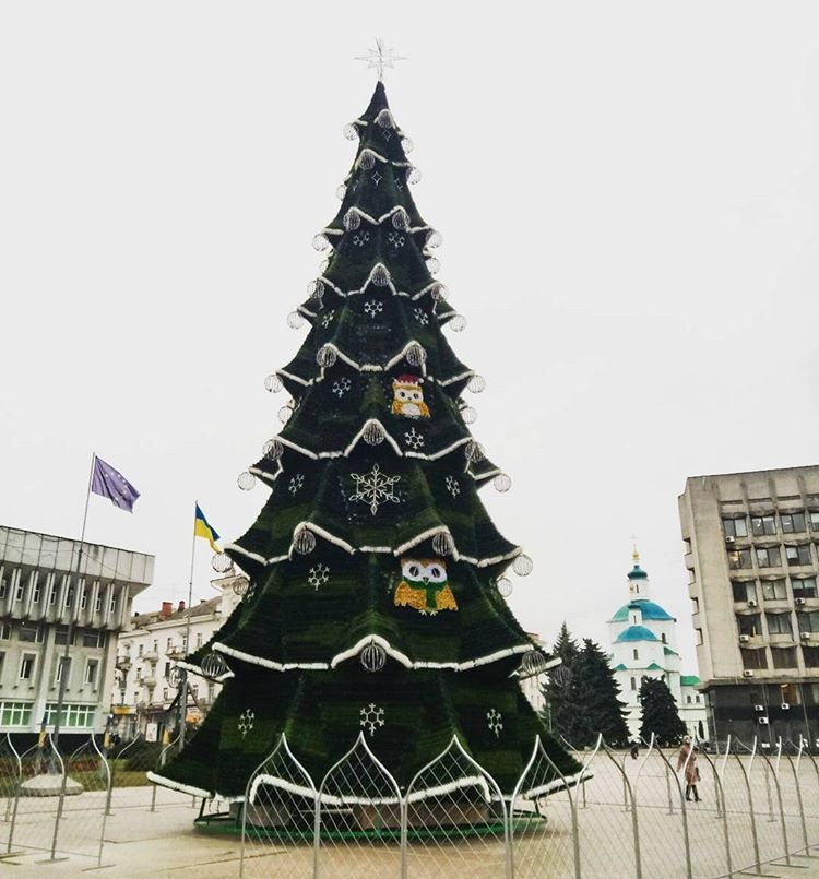 Сумська ялинка в цьому році вперше штучна / Сумська ялинка в цьому році вперше штучна /
