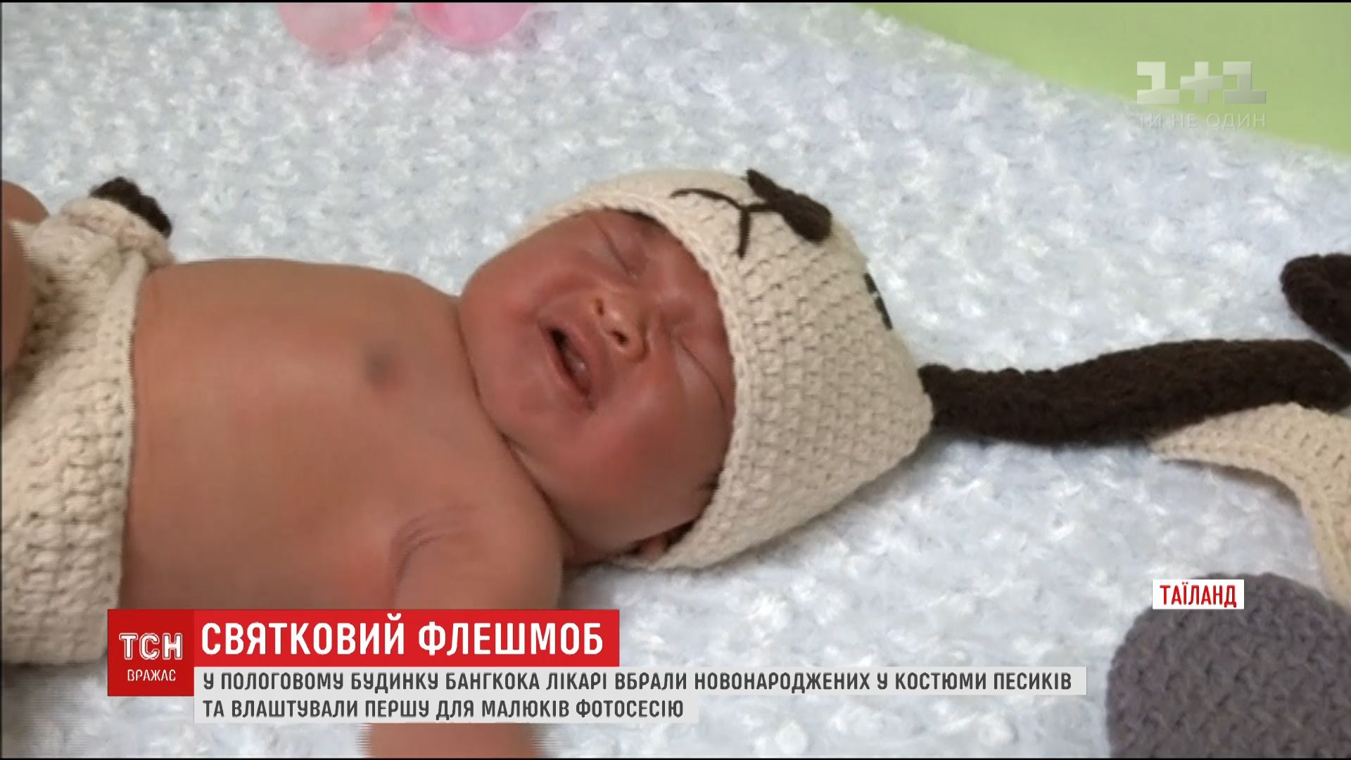 Флешмоб в роддоме. Врачи Бангкока в своеобразный способ поздравили новорожденных малышей / Флешмоб в роддоме. Врачи Бангкока в своеобразный способ поздравили новорожденных малышей /