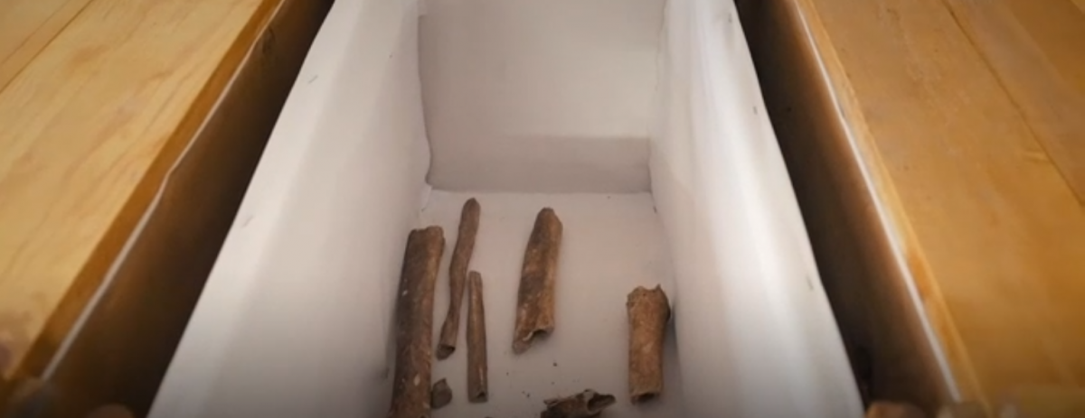  Найденные останки могут принадлежать древним царям / bbc.com