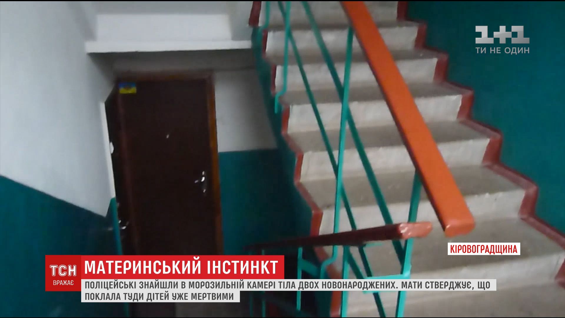 На Кировоградщине полиция нашла в морозилке роженицы тела новорожденных / На Кировоградщине полиция нашла в морозилке роженицы тела новорожденных /