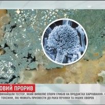 Индикатор здоровья: в США татуировки наносят с помощью 3D-принтера и живых бактерий (видео)
