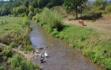 На Тернопільщині тіньові схеми викорінюватимуть за допомогою ОТГ