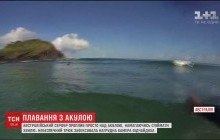 Проплив прямо над акулою: австралійський серфер записав відео небезпечного трюка
