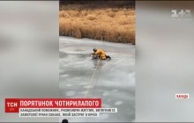 В Канаде спасатель чуть не погиб, вытаскивая собаку из-под льда (видео)