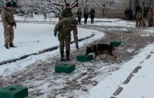 У Житомирі відбувся випуск поліцейських кінологів: серед випускників курсу – третина дівчат