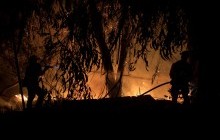 Слишком дорого: в Красноярском крае России приняли решение не тушить лесные пожары