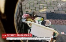 Крадійка Різдва: в США білка перегризла дроти на святковій ялинці (відео)