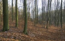 В Украине создали десять новых Национальных природных парков
