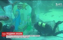 Водолазы установили рождественский вертеп в аквариуме Мадрида (видео)