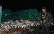 Мисливці знову хизуються вбивством тварин: на Закарпатті вполювали 6 вовків (фото)