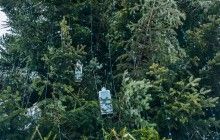 Стала известна новогодняя программа на площади Свободы в Харькове
