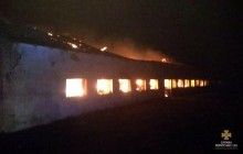 На Тернопільщині майже 5 годин гасили пожежу на стайні
