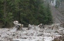 Паводок на Закарпатті: рівень води досяг максимуму з часів потопу 2001 року (фото)