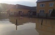 Flood in Zakarpattia: when currents change flow