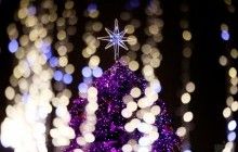 Новий рік – 2019: які вибрати прикраси і чим категорично не можна прикрашати ялинку