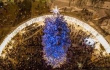 Самые дорогие и самые уродливые: как выглядят новогодние елки в разных городах Украины (фото)