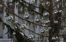 "Не дерево, а туалетный ершик": соцсети высмеяли облысевшую рождественскую елку в Риме (фоторепортаж)