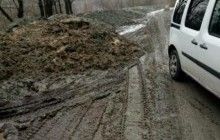 В Киеве неизвестные обстреливают приют для животных - двух собак нашли в ужасном состоянии