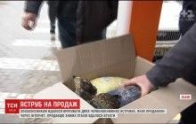 Львівські зоозахисники хитро викрили продавця червонокнижних яструбів (відео)