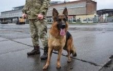 "Поліцейський ДНР" хотів втекти до Німеччини через беззаконня у "республіці"