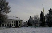 Шахрай видурив у 34-річної жительки Тернопільщини 4 тисячі гривень