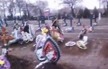 "Плюс 20 трупов": в сети показали кладбище боевиков "Призрака" (видео)