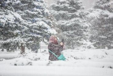 Западные регионы страдают от снегопадов: десятки населенных пунктов остались без света