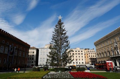 Искусственные елки в Великом Новгороде в ТСЦ 