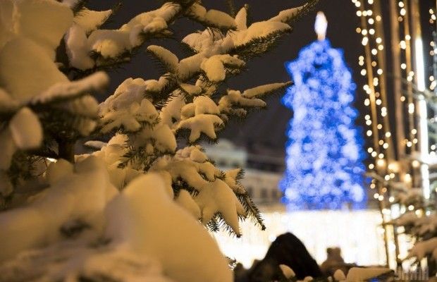 У Дніпрі засвітила новорічні вогні головна ялинка міста