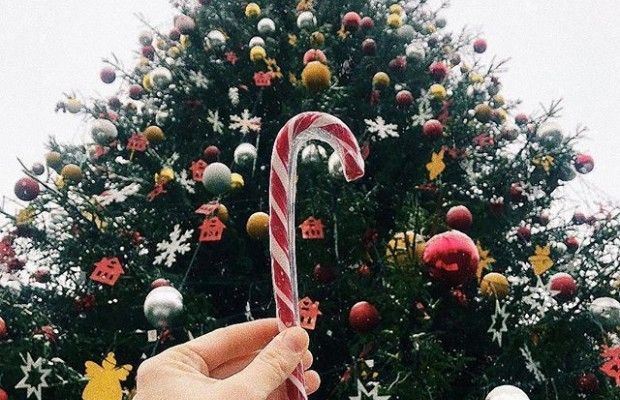 Короны и кареты: в британской королевской резиденции установили живые елки (видео)