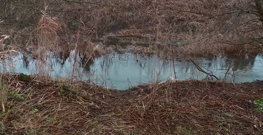 Тіло Ноздровской виявили в річці / Скріншот Тіло Ноздровской виявили в річці / Скріншот