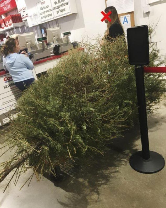 Женщина вернула засохшую елку в магазин / фото facebook