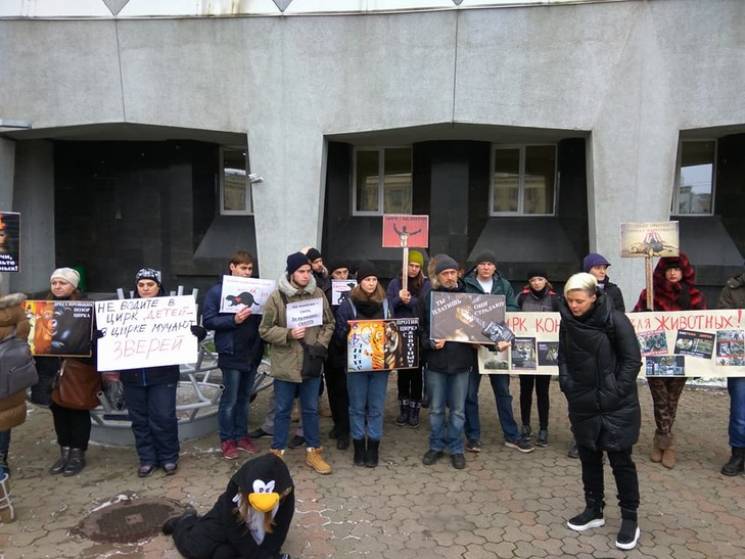 У Дніпрі пройшов мітинг на захист тварин у цирках / скрін відео У Дніпрі пройшов мітинг на захист тварин у цирках / скрін відео