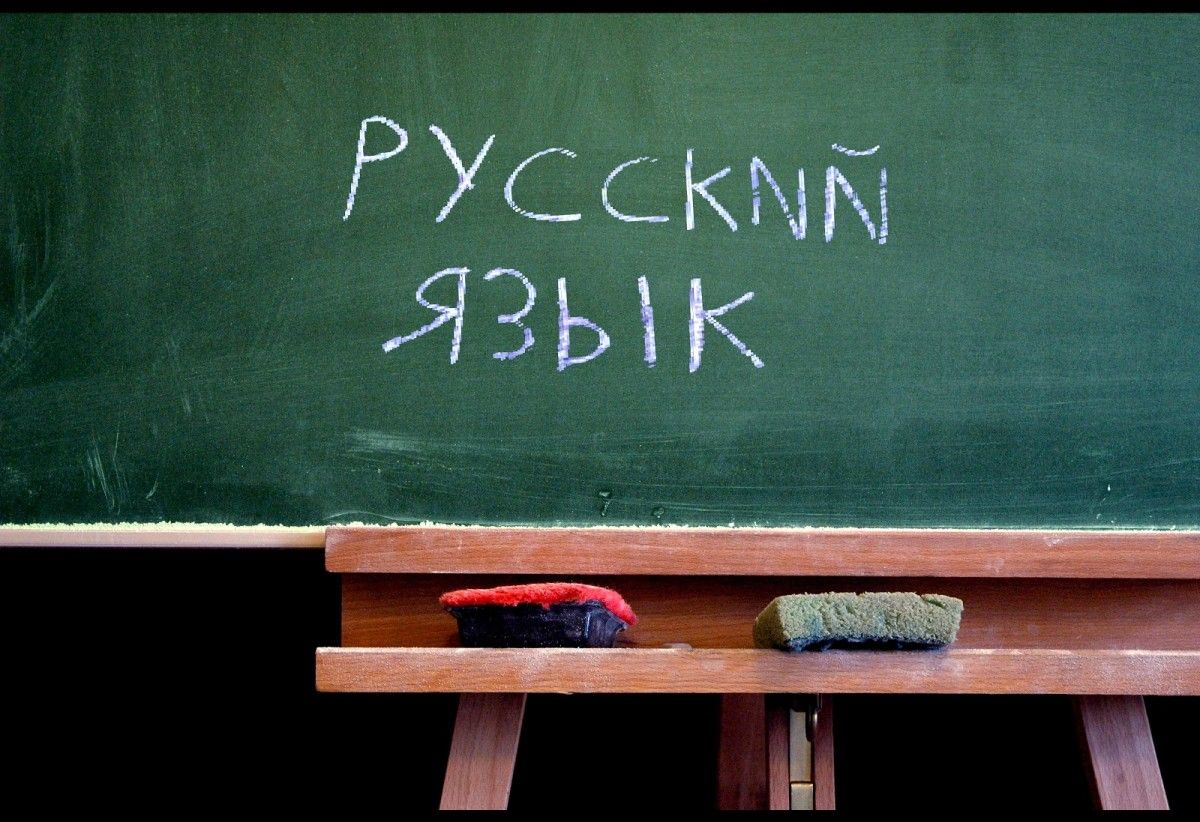 Грицак вважає, що російська мова може залишитися мовою спілкуванння, але без привілегій / фото forumdaily.com