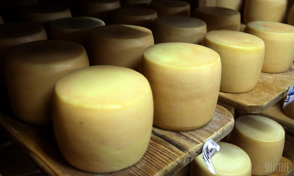 Український сир знову виросте в ціні \ фото УНІАН