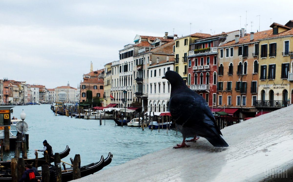 Фото Туризм. Венеция 30 января 2018