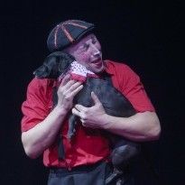 Kyiv bans touring circuses in bid to protect animal rights
