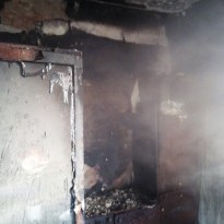 В Житомирской области на пожаре в частном доме пострадали двое малолетних детей