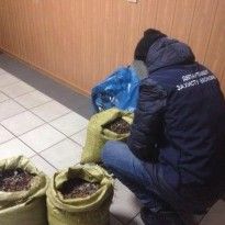 На Житомирщине разоблачили нелегальный цех по обработке янтаря, изъята партия камня (фото)