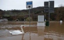 Последствия непогоды в Европе: в Германии по затопленным улицам плавают лебеди (фоторепортаж)