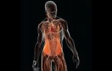 Харчовий апокаліпсис: вчені розрахували запаси людського м'яса за умови зникнення продуктів