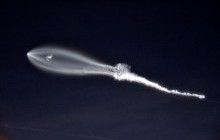 SpaceX не удалось вывести на орбиту секретный спутник США - СМИ