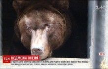 В одесском зверинце построили элитное жилье для семьи медведей (видео)