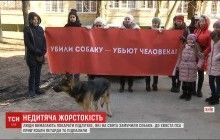 Прив'язали петарду до хвоста: у Києві жорстоке вбивство собаки сколихнуло один із районів (відео)