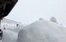 Альпы завалило снегом