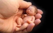 Польські єпископи звернулися до парламенту із закликом заборонити євгенічні аборти
