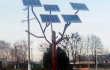 На Черкащине установили первое "солнечное" дерево (фото)