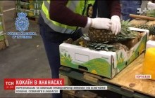 Колумбійський коктель: винахідливі контрабандисти перевозили 745 кг кокаїну в ананасах (відео)